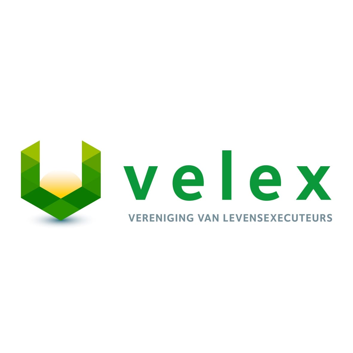 VELEX Logo